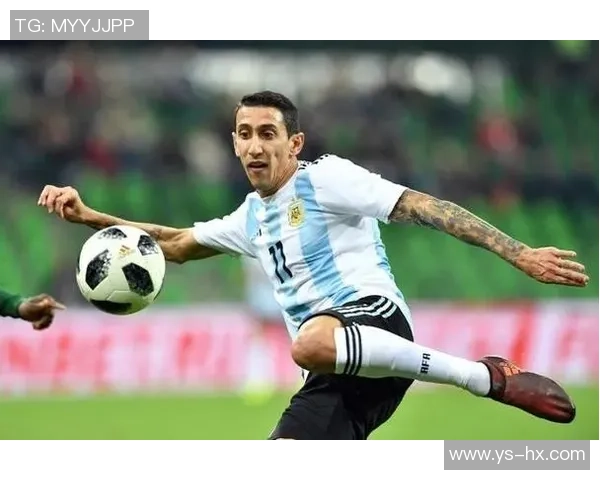 足球明星携手杜的传奇之路探索与成长的精彩瞬间